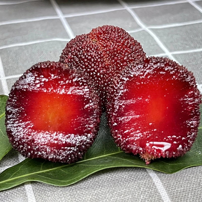 【直播浮力】云南高山珍珠杨梅4斤原箱礼盒新鲜当季水果 顺丰包邮