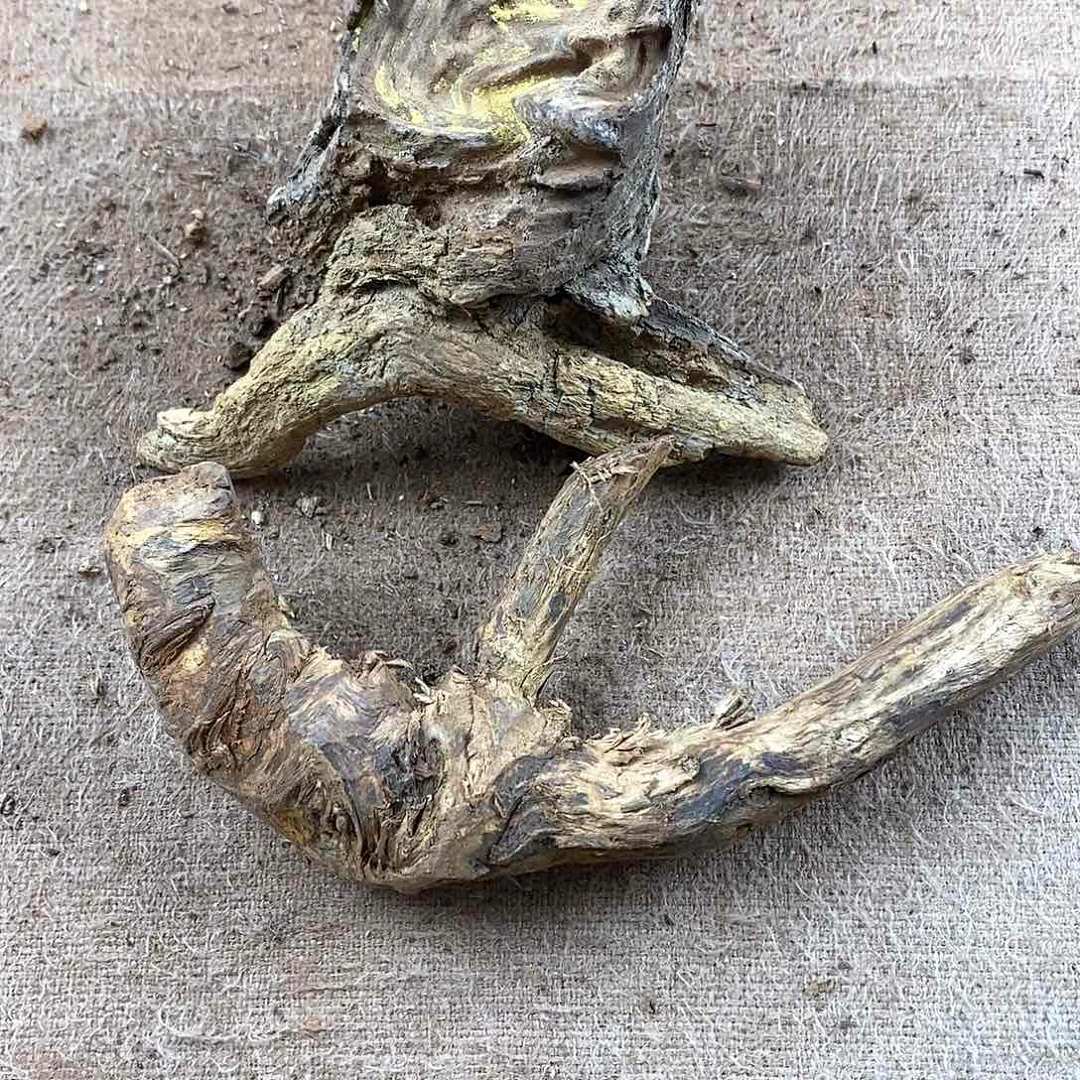 木星****人黄花梨随形料子