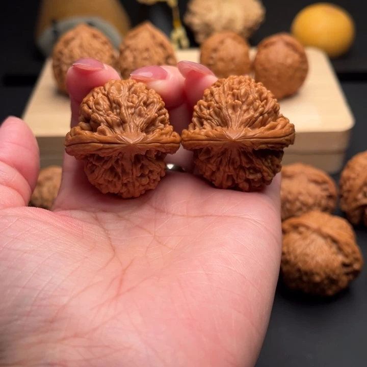 文玩核桃把件蚂蚁王