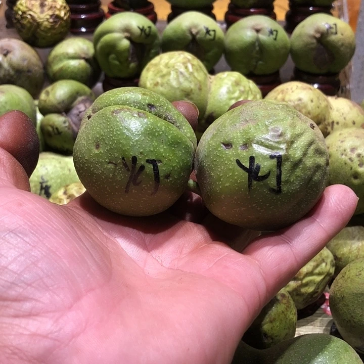 吊坠桃核核桃核桃