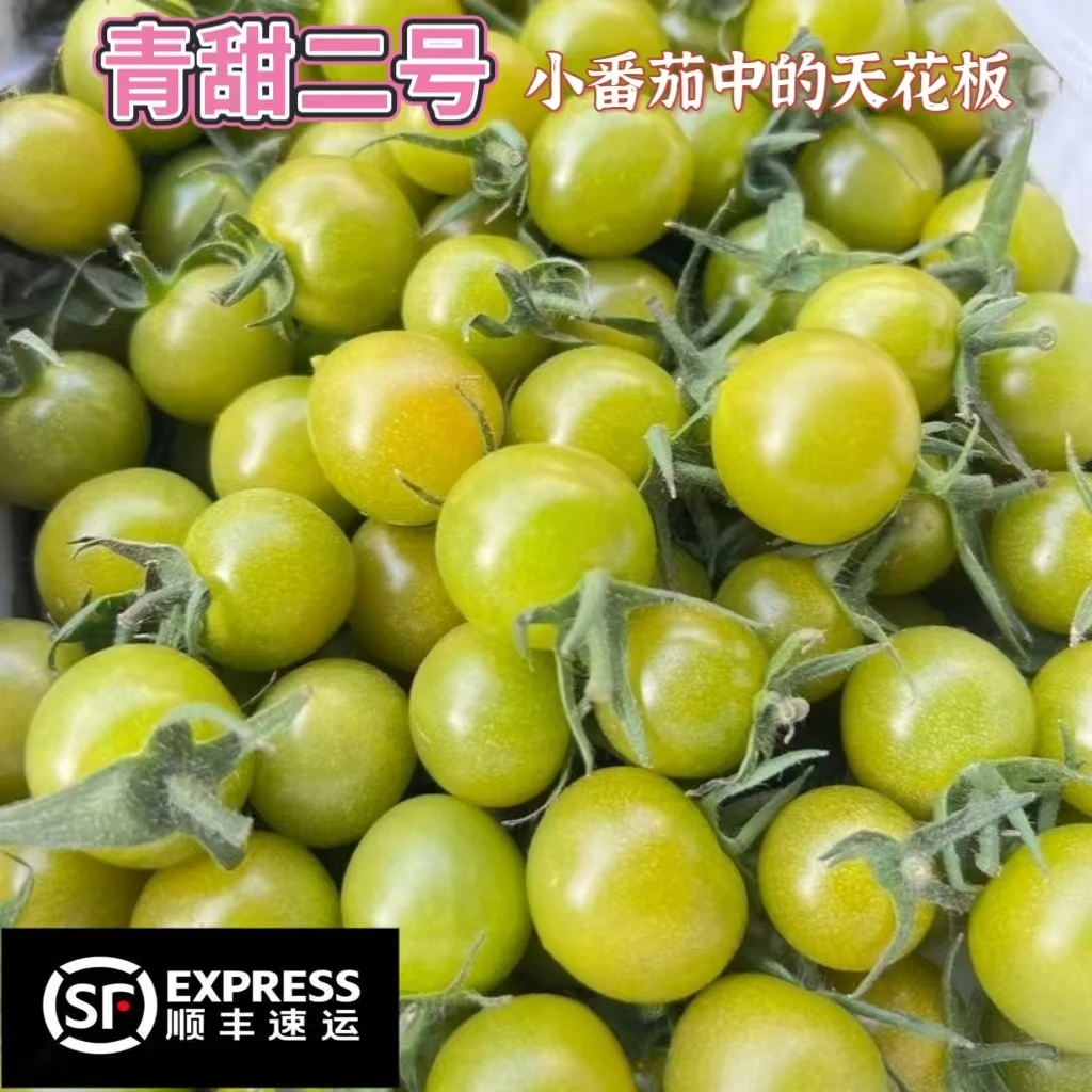 【皮厨大叔专属】青甜二号小番茄绿色圣女果清甜爆汁现摘现发产地直