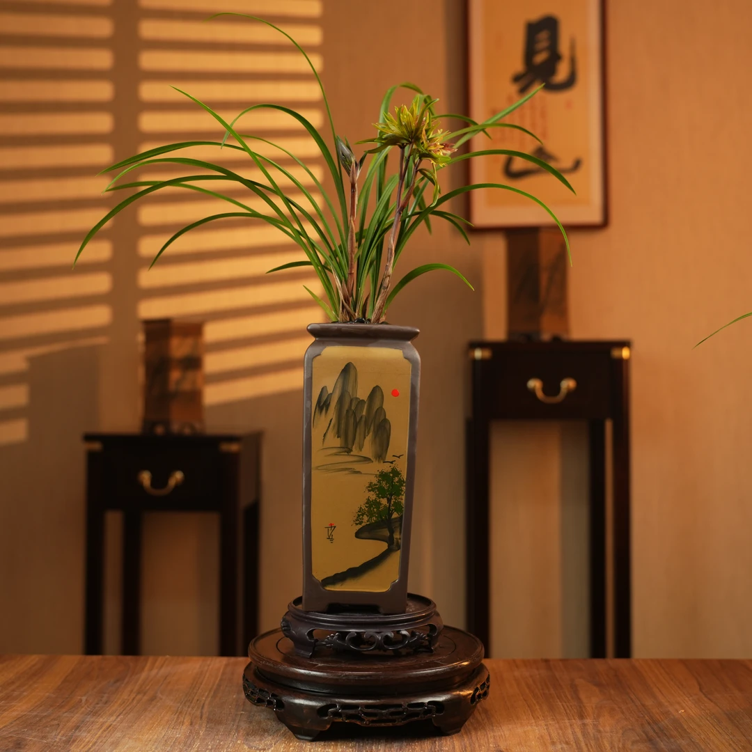 【老种国香牡丹】高档稀有寒兰带花苞好养易活卧室书桌室内外