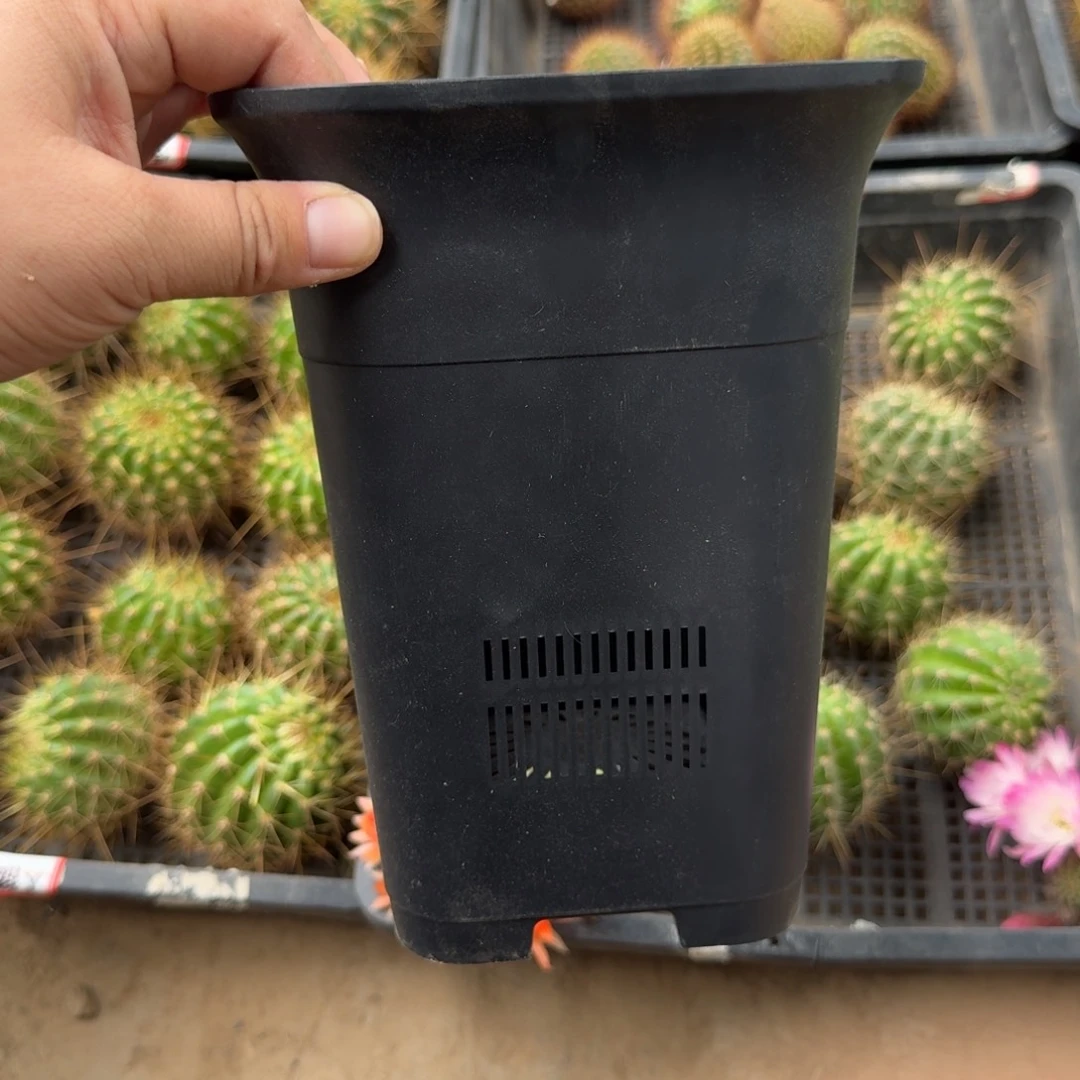 大黑方一个口径15公分左右无托，20包邮