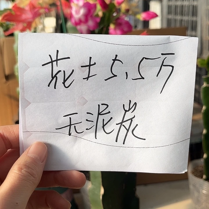 当前无花朵，栽培后可花朵花土 5.5斤无泥炭土