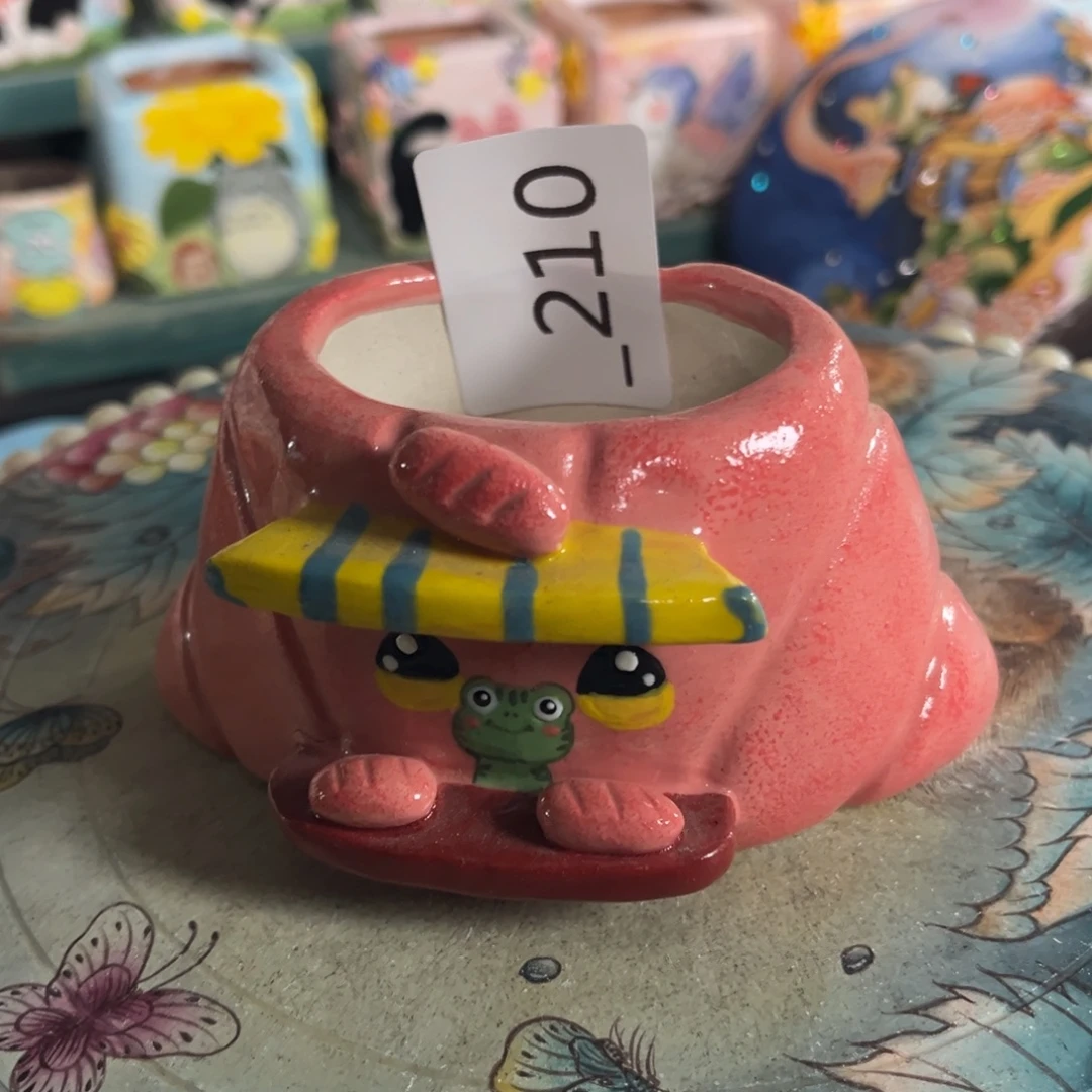 310多肉花盆   1个