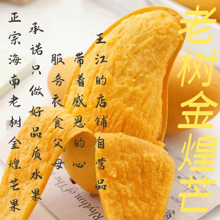 【王江的店】海南岛（老树精品金煌芒果到货即食）不用催熟超好吃