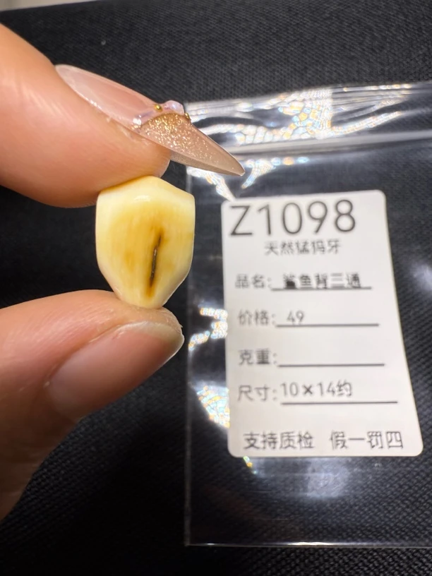 Z1098天然猛犸牙鲨鱼背三通配饰
