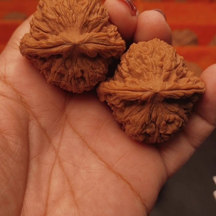 核桃南疆40尺核桃