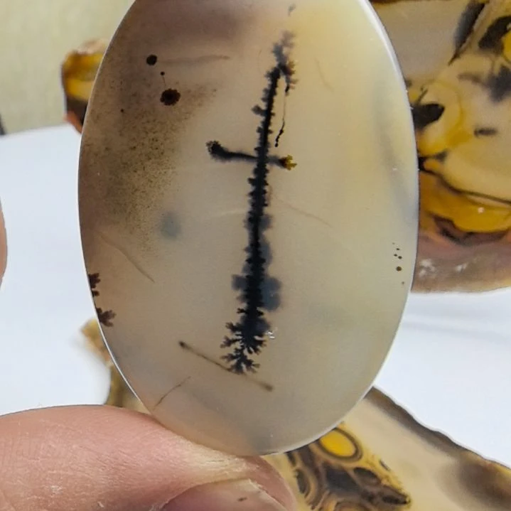 非金属时尚饰品21