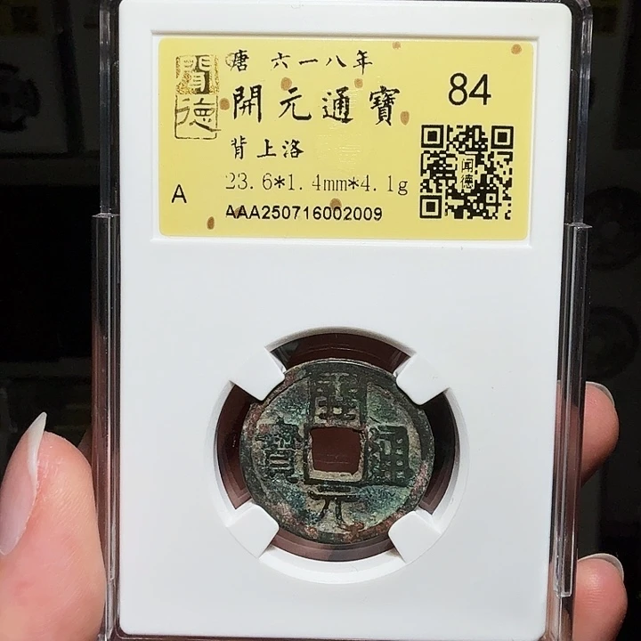 铜瀚海文物A开元背洛2009