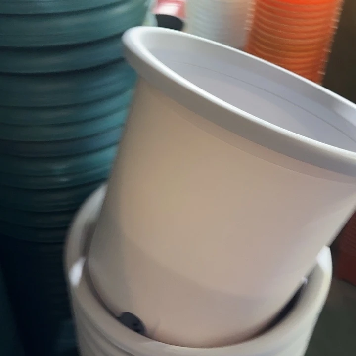 四季6号新灰白无托7个特价