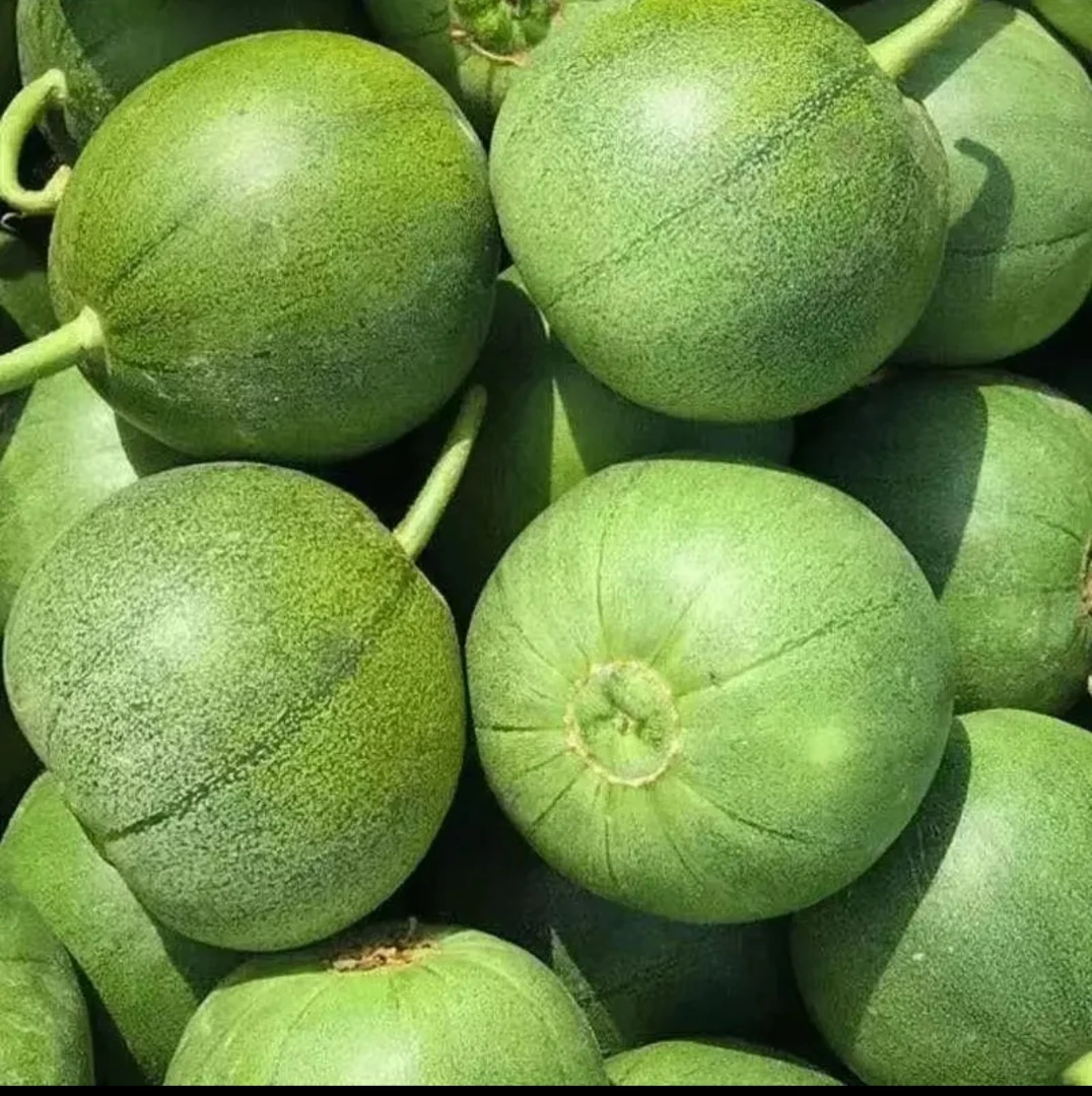 【全店满8包包邮】绿宝石甜瓜种子