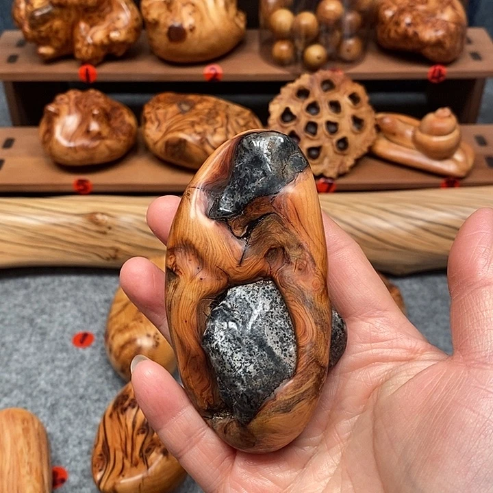 柏木（崖柏）接**叶太行崖柏陈化