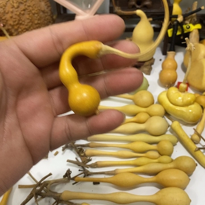 水***月手把件精品文玩葫芦