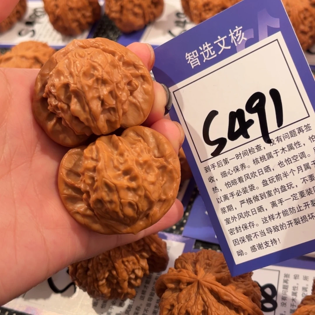 核桃S491号图图43尺