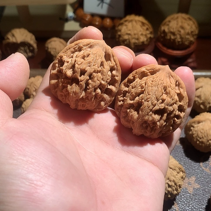 全品无修 麦穗虎头41尺寸