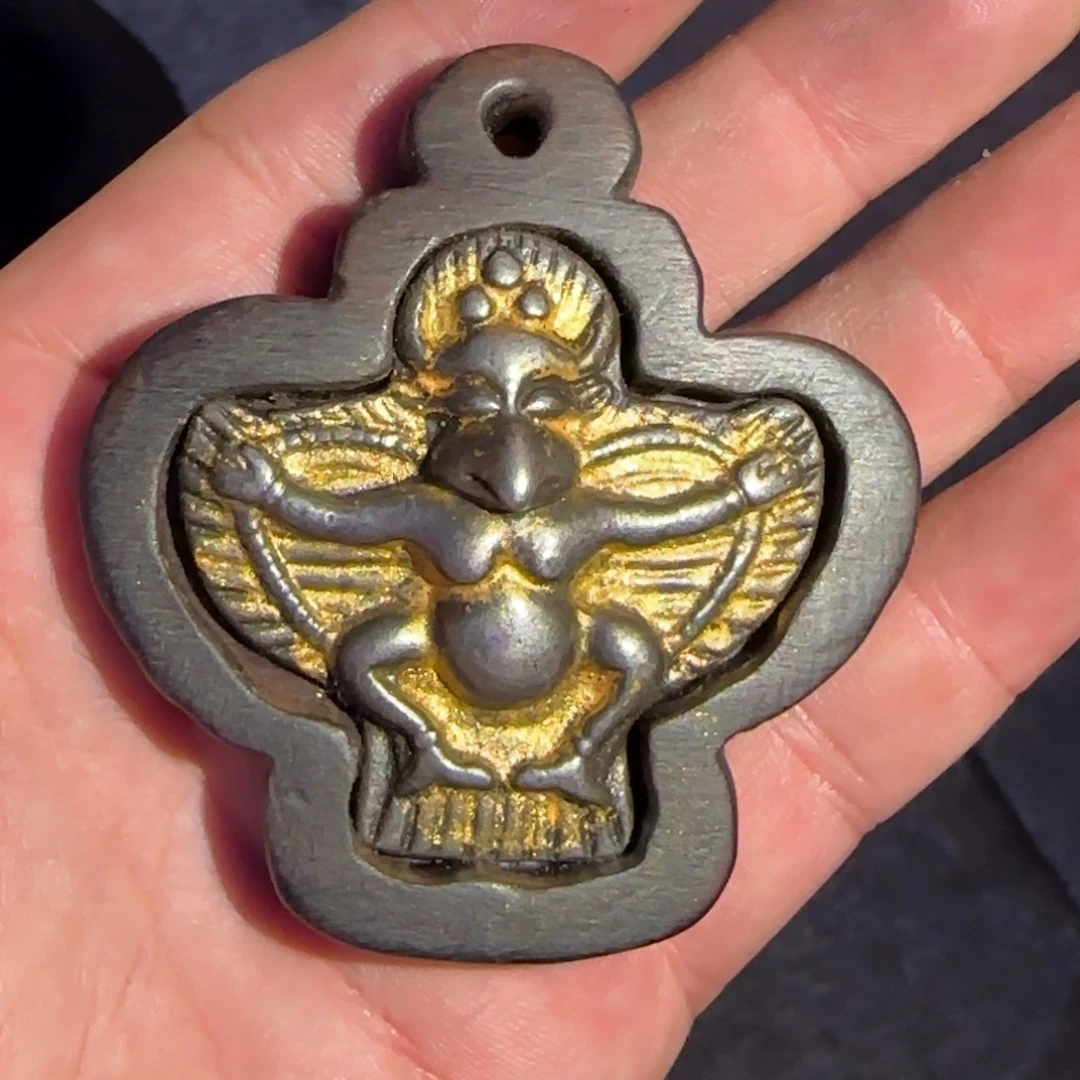 好看的喜欢带回家