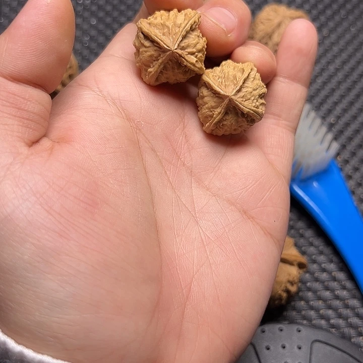 文玩核桃吊坠四棱