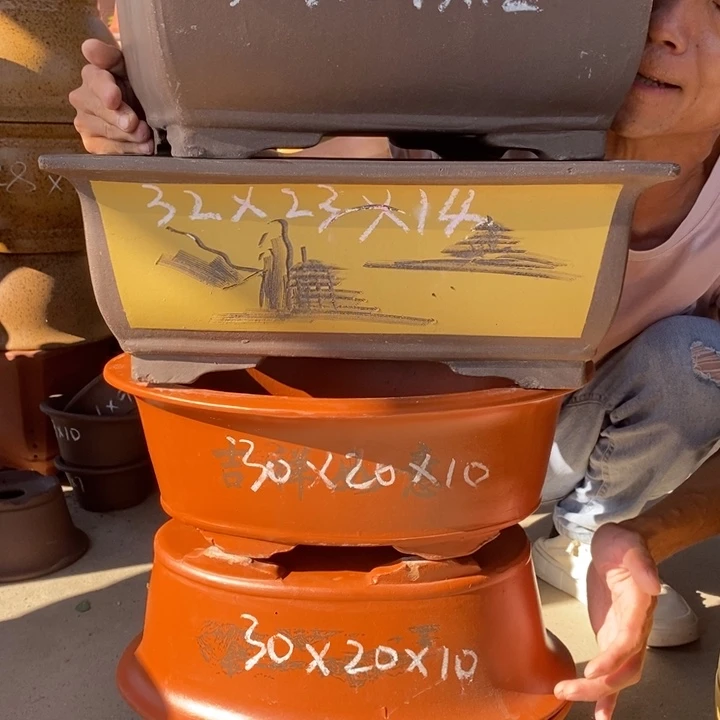 紫砂紫砂紫砂紫砂