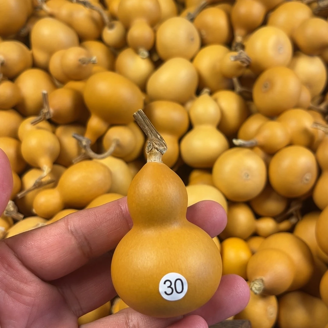 六葫芦葫芦葫芦葫芦30