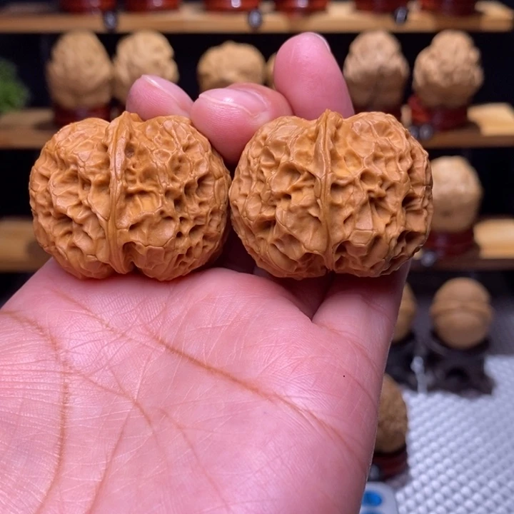 木质类云铁元宝蟾117号