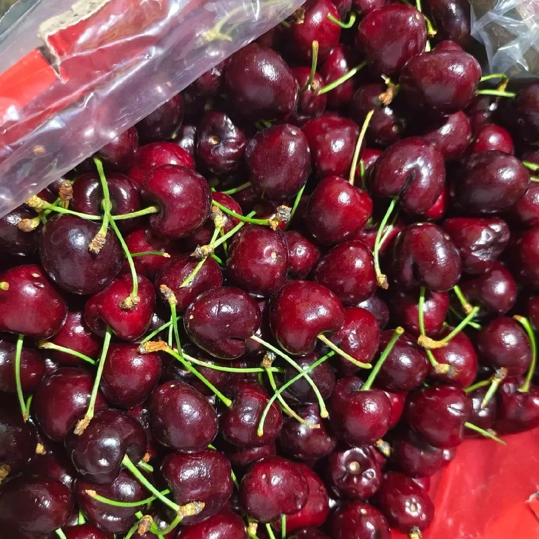 【生活馆】2JJD空运车厘子斤 桑提娜智利智利