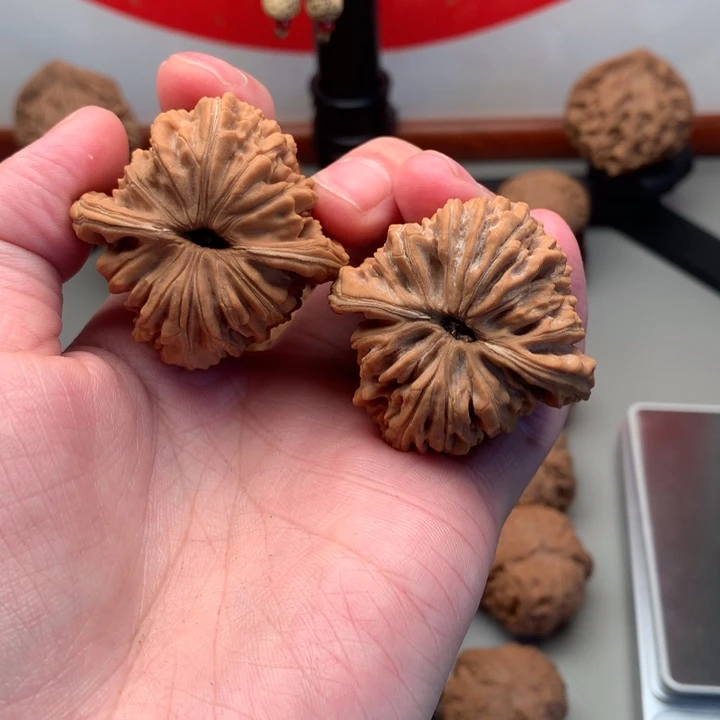 桃核吊坠龙****》43精品四座楼