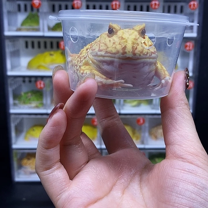 特价秒杀一切顺利