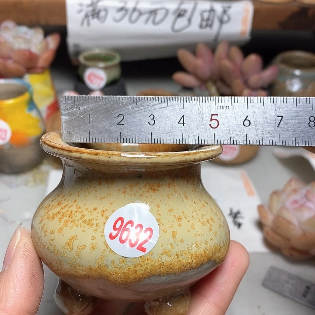 红陶拍5送一个小