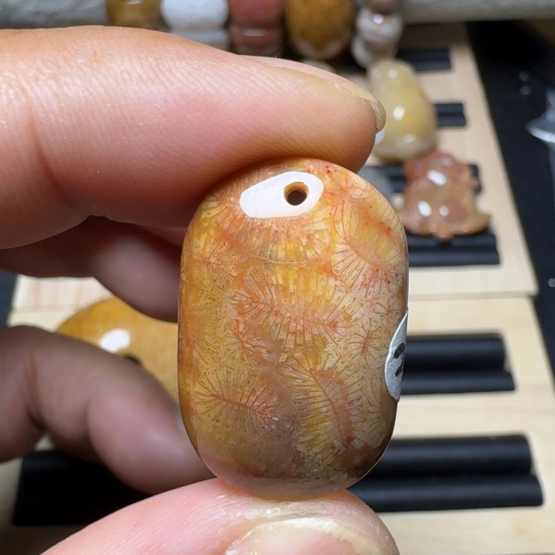 未镶嵌纯天然色有机玉石保真色硅化玉