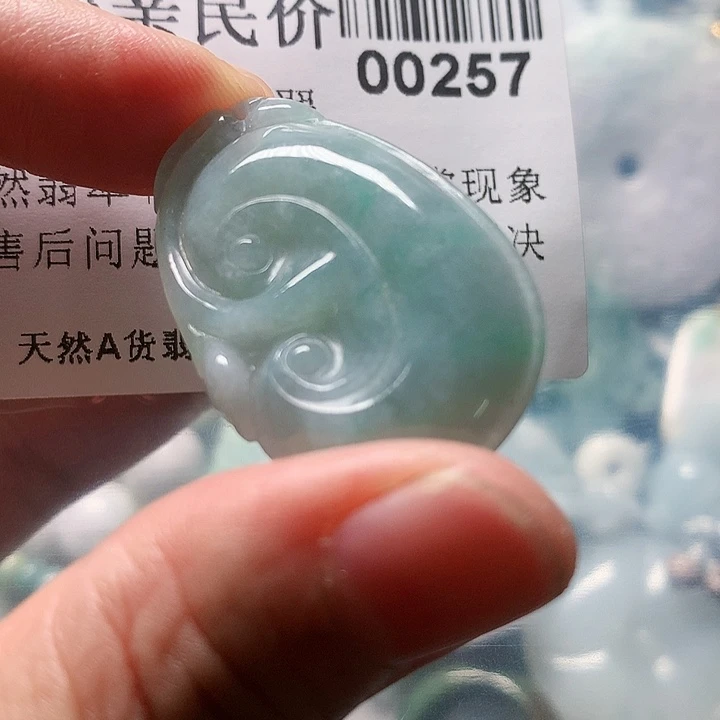 颈饰未镶嵌翡翠00000257