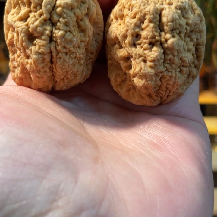 把件文玩核桃编号49