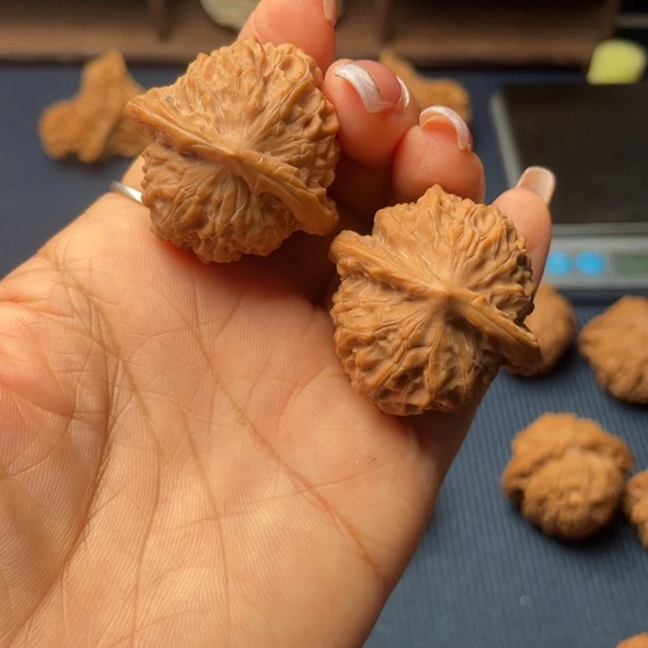 核桃36瓷娃娃全品