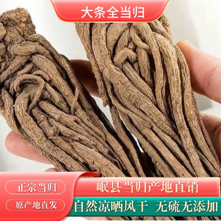 甘肃岷县当归大条整条 精选优质好货 正品无硫 产地直发