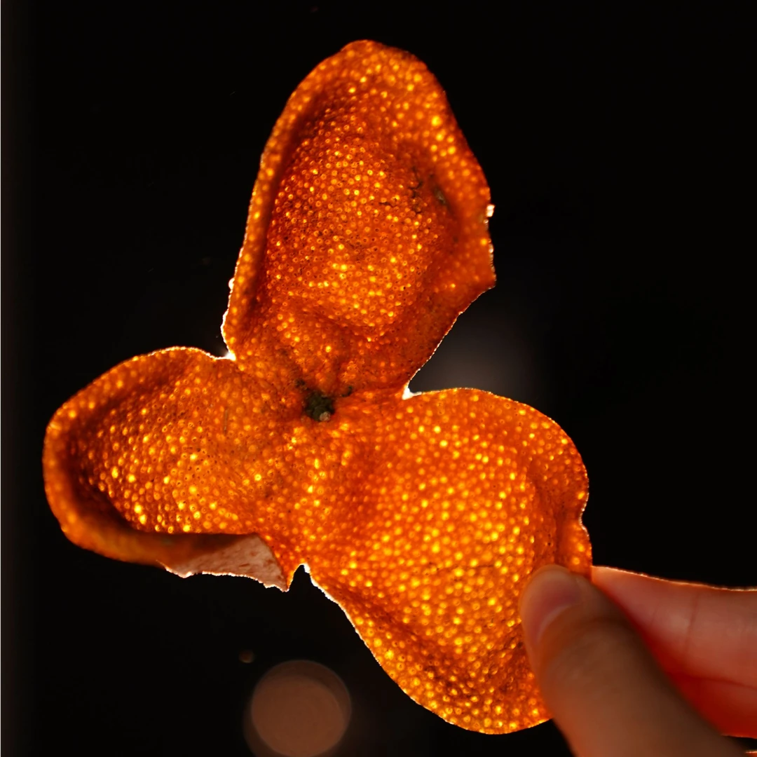 陈李济2024年新会核心产区南坦天马梅江收藏送礼买五斤送桶