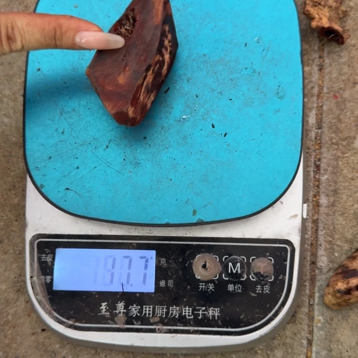 木本降真香海南红降原料32克