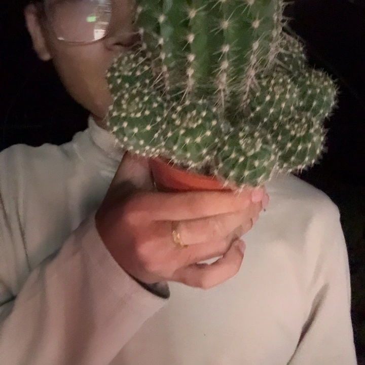 马***豆无花朵彩草哈哈哈哈哈哈哈