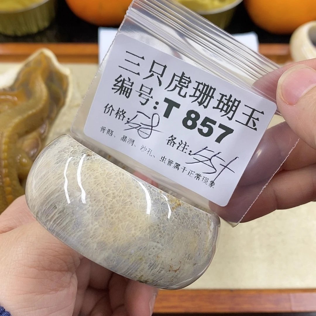 硅化珊瑚（珊瑚玉）1未镶嵌天***?