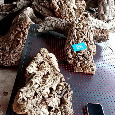 Y*一物一拍一物一发