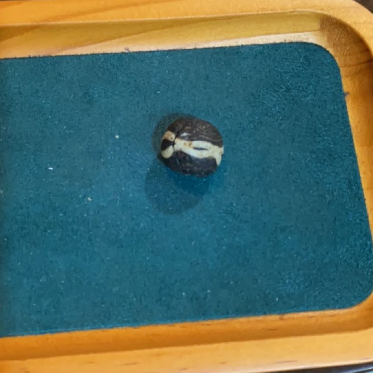 藏地密码,藏式珠子a413