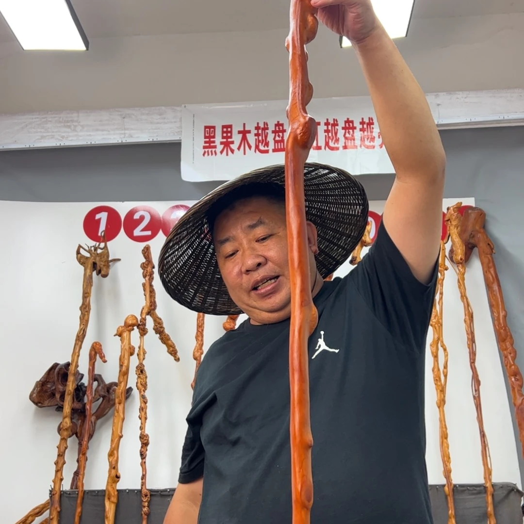 农***城黑果木其他黑果木527