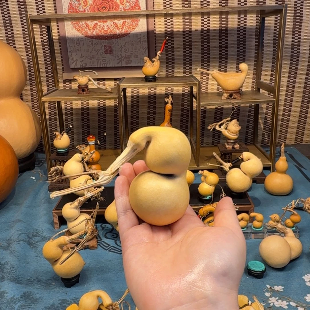 ****手把蚂蚁弓背贴肚