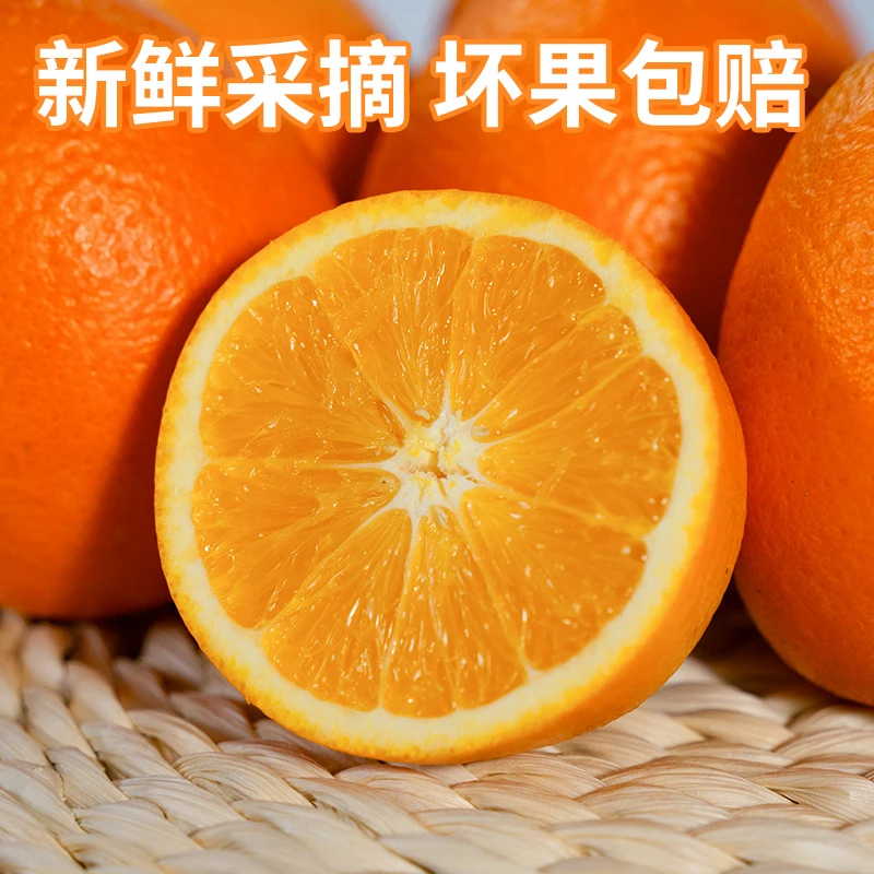 纽荷尔脐橙产地直发新鲜采摘树熟 不打蜡 不催熟