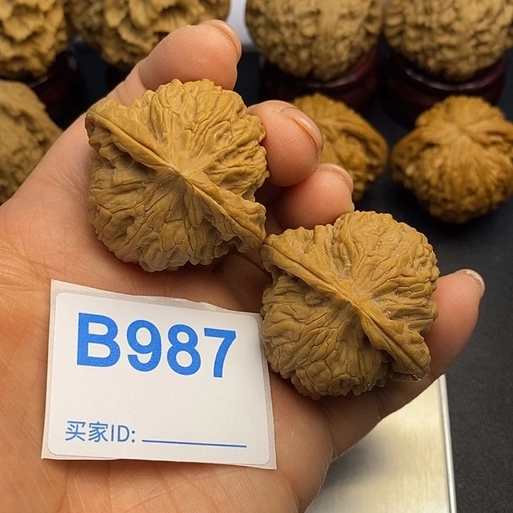 核桃南疆4.1，00000