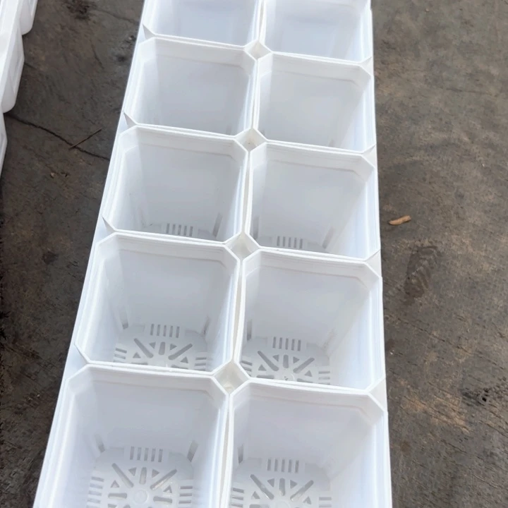 7公分白方盆10个含托架