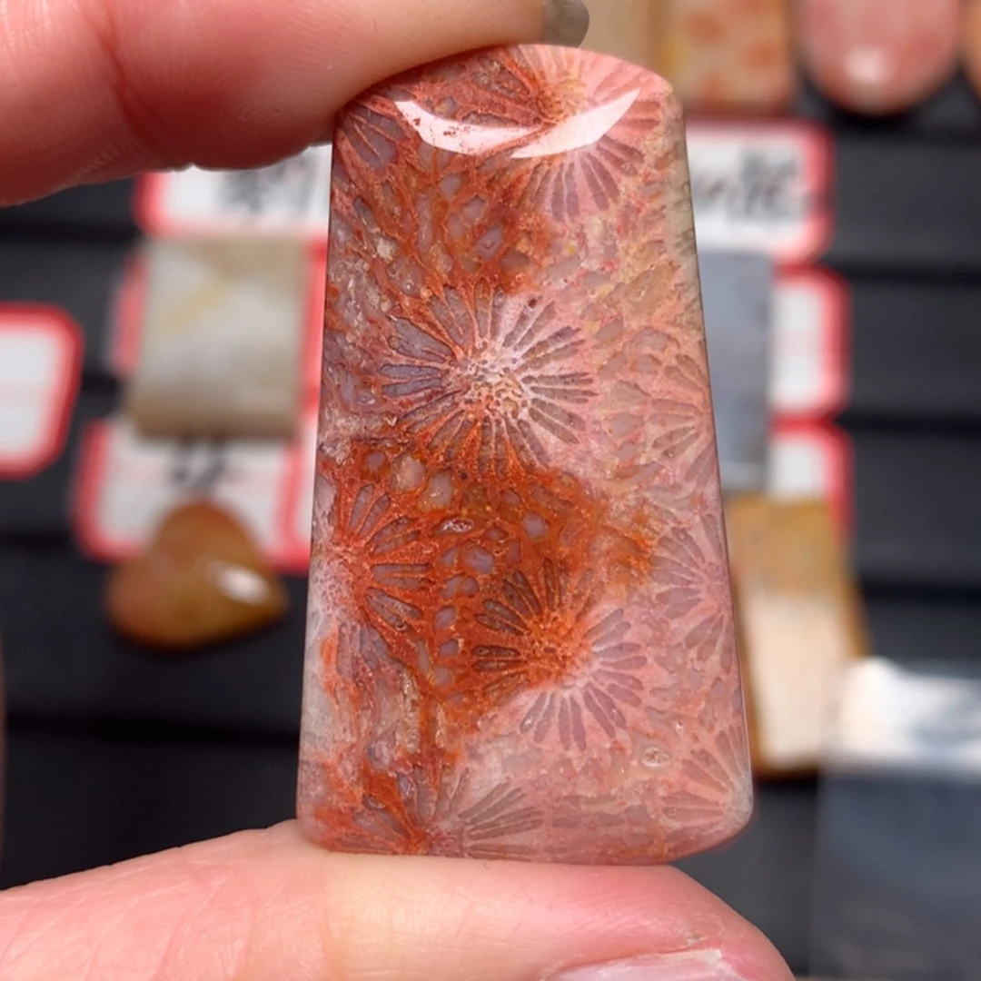 【闪购商品】硅化玉颈饰未镶嵌生*