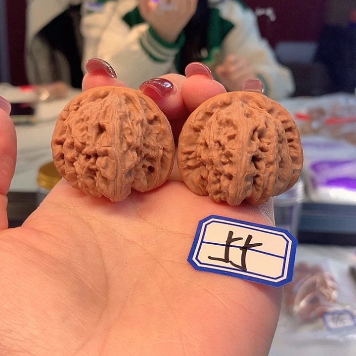 木质类白狮子39尺寸