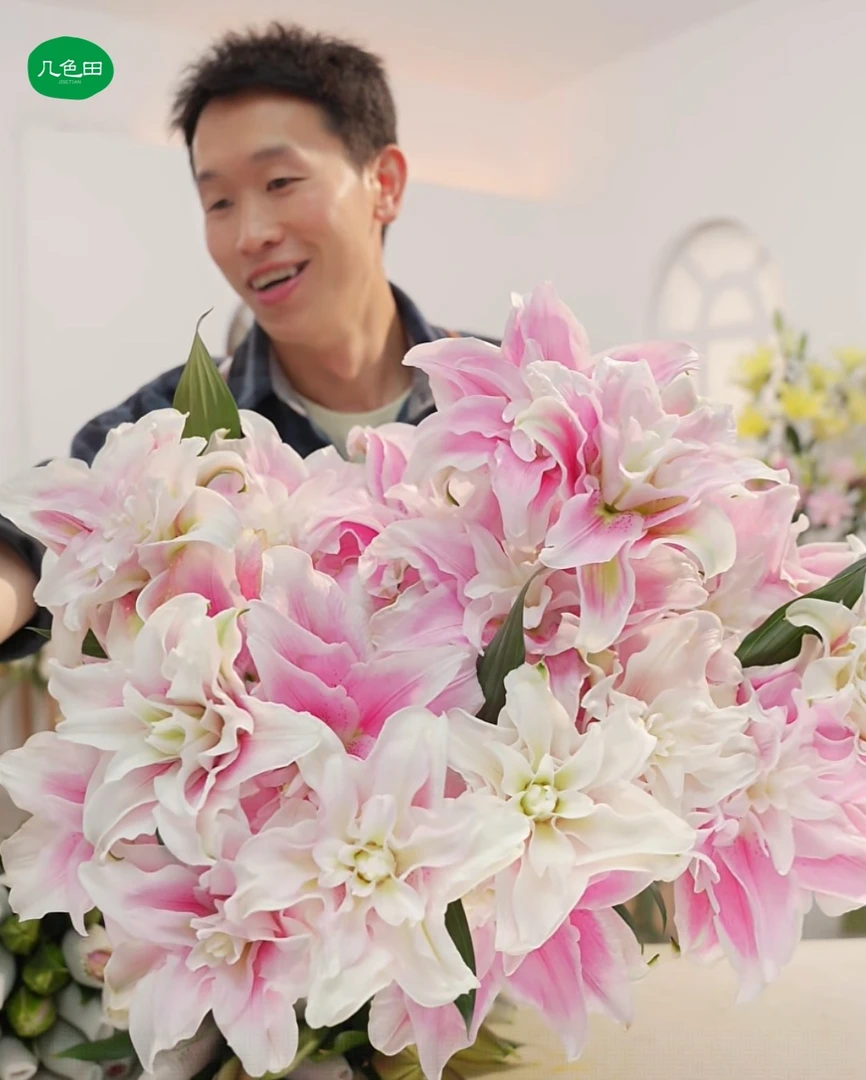 2头伊莎贝拉----重瓣百合云南直发鲜花云南花插花鲜花