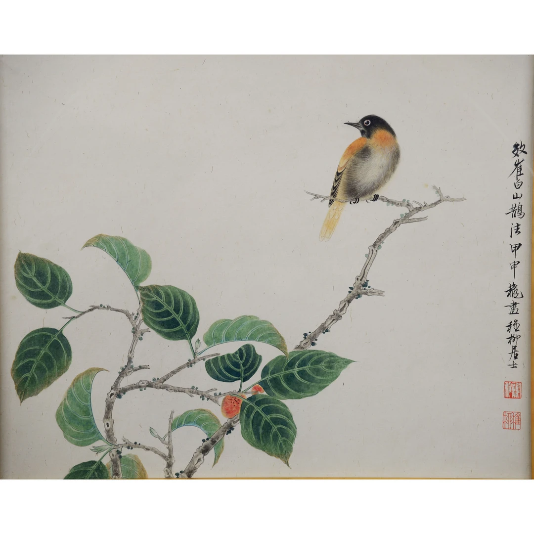 D18 XXS花鸟图 纸本镜框 35*43cm 附出版物《四海集珍》