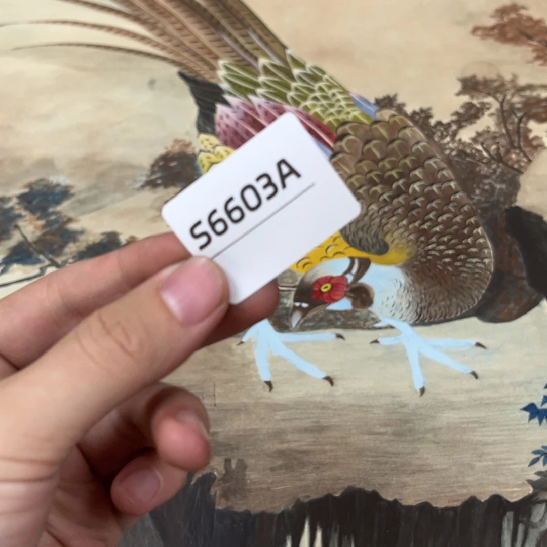 有***术书法字画哈哈哈哈哈